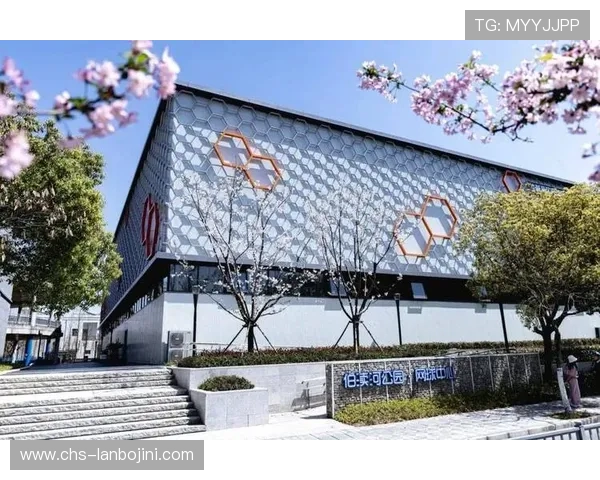 尊龙z6旗舰厅：打造豪华舒适的线上博彩新体验