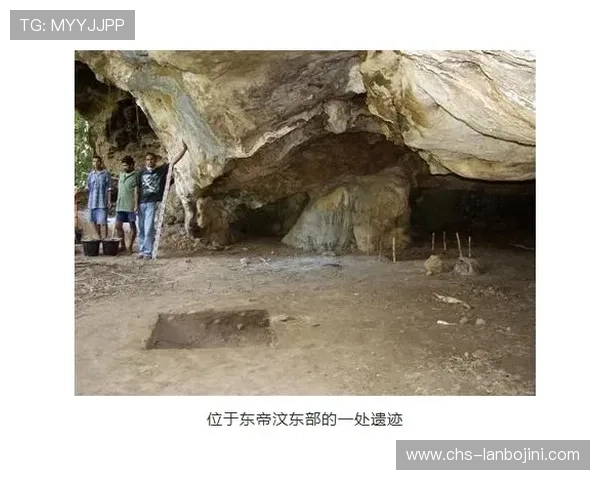 打鱼平台技术分析，掌握市场动态实现稳步盈利