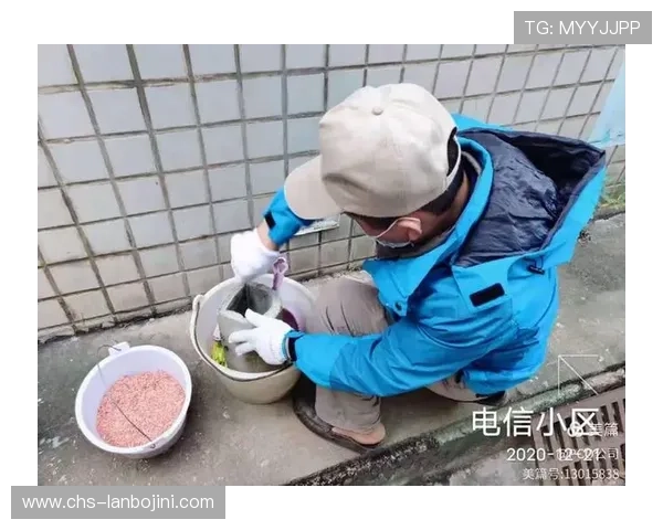 新利网投创新的技术保障，确保平台运行稳定，游戏体验流畅无阻