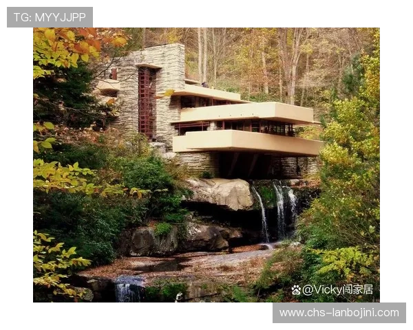 至尊国际：融合国际先进设计理念，创造极致豪华的居住环境